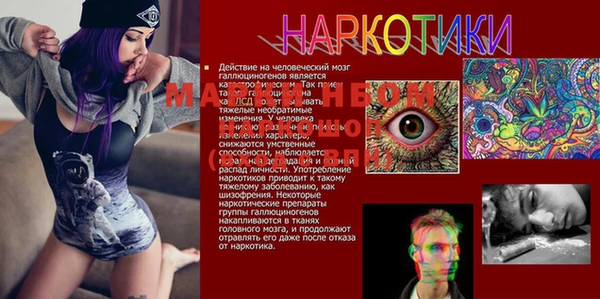 a pvp Верея