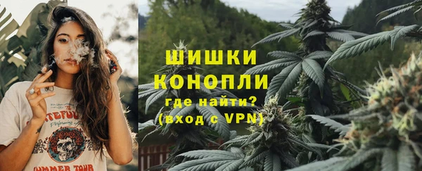 мдпв Бородино