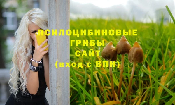 spice Верхний Тагил