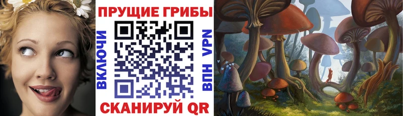 Галлюциногенные грибы Magic Shrooms  Медынь 